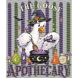 Halloween-WS 11925